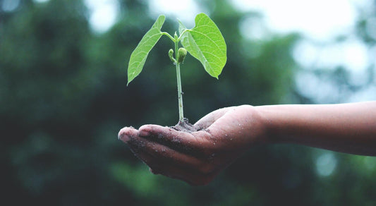 Journée Mondiale de la Terre : quel lien avec les bougies ?